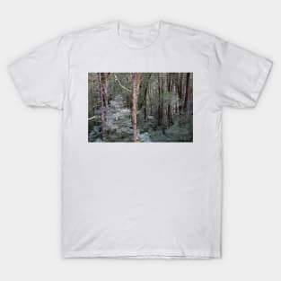 Tall, bare tree trunks. T-Shirt